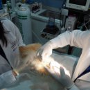 이호동물병원 이미지