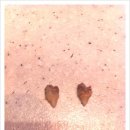 애경 동물병원 이미지