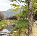 문경새재 이미지