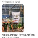 스테이 831 이미지