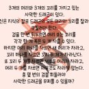 강장섭수학전문학원