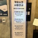 내돈내산 속초숙소 신축 속초 비즈니스호텔 카멜