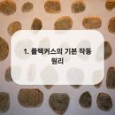 새하양서울치과의원 이미지