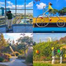 대야동 시민자전거 대여소 | 경기도 오산천 맑음터공원 에코리움 무료로 즐기는 아이와 가볼만한곳 자전거 코스 추천