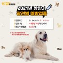삼성가축병원 이미지
