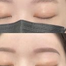 솔앤브로우