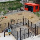 사단법인 나인 이미지