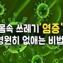 염증잡고 면역력 높이는 음식 5가지 이미지