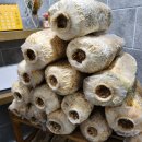 텃골2 농장 이미지