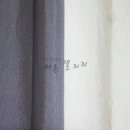 커튼의정석