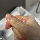 리멤버제주 | 단감비누 리멤버린 샴푸&바디워시 올인원 단감 비누바로 머리부터 발끝까지 산뜻한 올인원 케어!