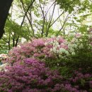 행복동산 이미지