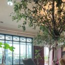 연세유정산부인과의원 이미지