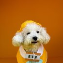 놀러오개 서대문점 이미지