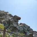 오지박 | 제주의 평화로운 여행을 하고 싶다면- 추자도 여행 1박2일 후기(feat. 올레길18-1)