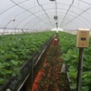 모정농장 이미지