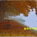 송호리 티스토리