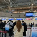 5043 | 부산 김해공항에서 상하이 푸동공항 중국동방항공 MU0544 MU0543 탑승후기 | 기내식 | 입국심사