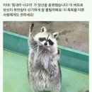 나도 이미지