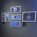 여의도 IFC몰 픽사 아트컬렉션 전시회 평일 관람 후기