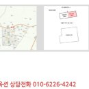안중초롱길 네이버블로그