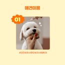펫스탑 이미지