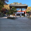 진흥 | [후기] 고창 선운사, 진흥굴, 도솔암 마애불, 도솔천 내원궁 - 가을 선운산 단풍 구경