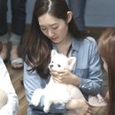 멍이냥이하우스 이미지