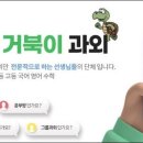 토끼와거북이과외