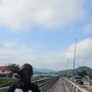 무릉도원면-5 이미지