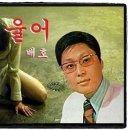 배*호 - 안양시 동안구 평촌대로179번길 | 배*호