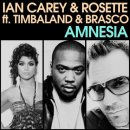 Amnesia (Radio Edit.) / Ian Carey & Rosette 이미지