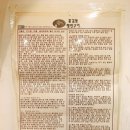 홍길동생선구이 이미지