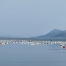 삼천포해물탕 네이버블로그