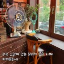 수유 고양이 있는 분위기 좋은 카페 커피문화사 내돈내산 후기