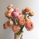 성당동 신한은행 앞 | [월성동꽃집,상인동꽃집,진천동꽃집, 화이트데이 선물] 마카롱 플라워박스, 꽃다발 베르티지에서 추천...