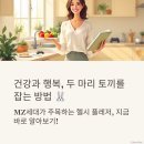 헬시플레저 이미지