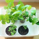 난향동-26 | 봄 햇살을 닮은 김정원 선생님