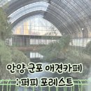퍼피포레스트 이미지