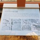 유림원