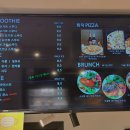 오로라애견 이미지