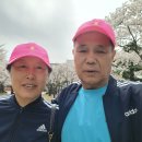 현대자동차 문화회관 잔디밭 힐링중(240402), 이미지