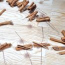 인천새봄초등학교 이미지