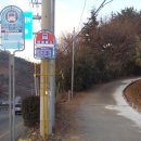 버스정류장 옆 횡단보도 이미지