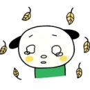 오픈솔루션 이미지