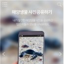 마린써비스 이미지