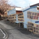 태인동 장내마을 이미지