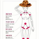 한방의료기 이미지