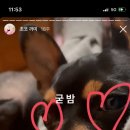 블라인드수