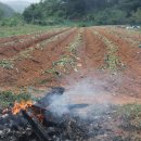 평산농장 이미지